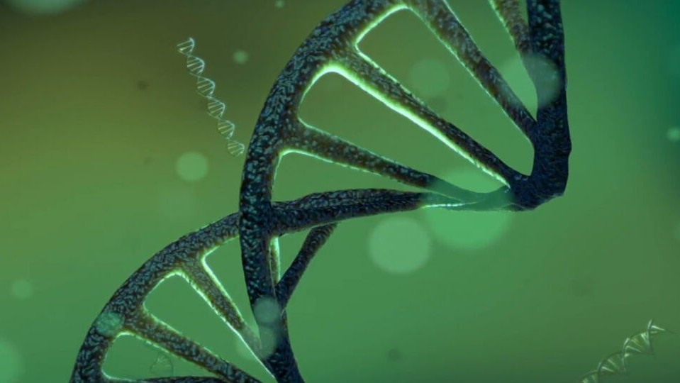 DNA